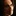 Narcissus 1318163