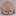 懒猫