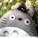 TOTORO 1005668