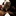 evitca 1085675