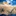 teninches 2241697