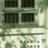 今天天气不错