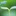 玫丫 1313801