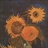 kiweichld 1915837