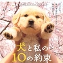 sunniefond 1209839