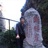 花落春仍在 887884