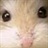 霹雳猫 747917