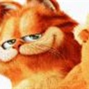 我是熊猫 1053950