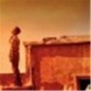 viva森林 100203