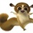 rockyfan 602223