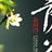 一只特立独行的鼠 1732024