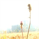 棱宇 1510241