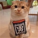 翻墙 866260