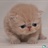 佩佳520 1924263