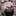 lower 924029