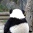 王孙故 1510030