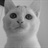 maggie_dan 104306