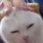 猫点一亿 2270327