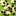 panda 2124329