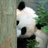 小白变老白 1094340