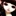 Nancy