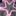 onlyC... 1682396