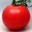 tomato 1082429