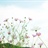 fumino 966045