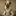 GODSDREAM 2504494