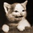 猫猫睡了 1548005