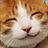 龙猫猫 988534
