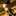 lsw-free 2176566