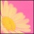 Leona 994578