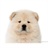 不狂犬 1152060