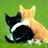 青猫 932637
