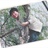 sinopower 880639