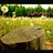 Stranger 2002654