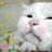 xiaott33 1128007