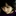 Yumico 1546728
