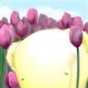 滴落的星子 1254736