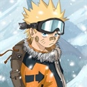 Dessfox 1746762
