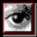 金牛之眼 980770
