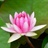 掌上流云 1026780
