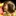 Cloris 2096788