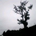 椒盐飞过海 808079