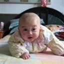 光头哥 1426794