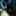 cloris 1588796