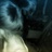 cloris 1588796
