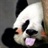 米兰丶米兰 1856800