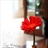 amy 2390804